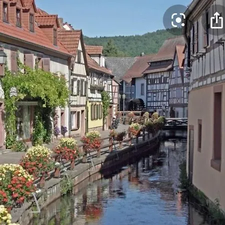 Toms Ferienhuette Apartment Annweiler am Trifels Exterior photo