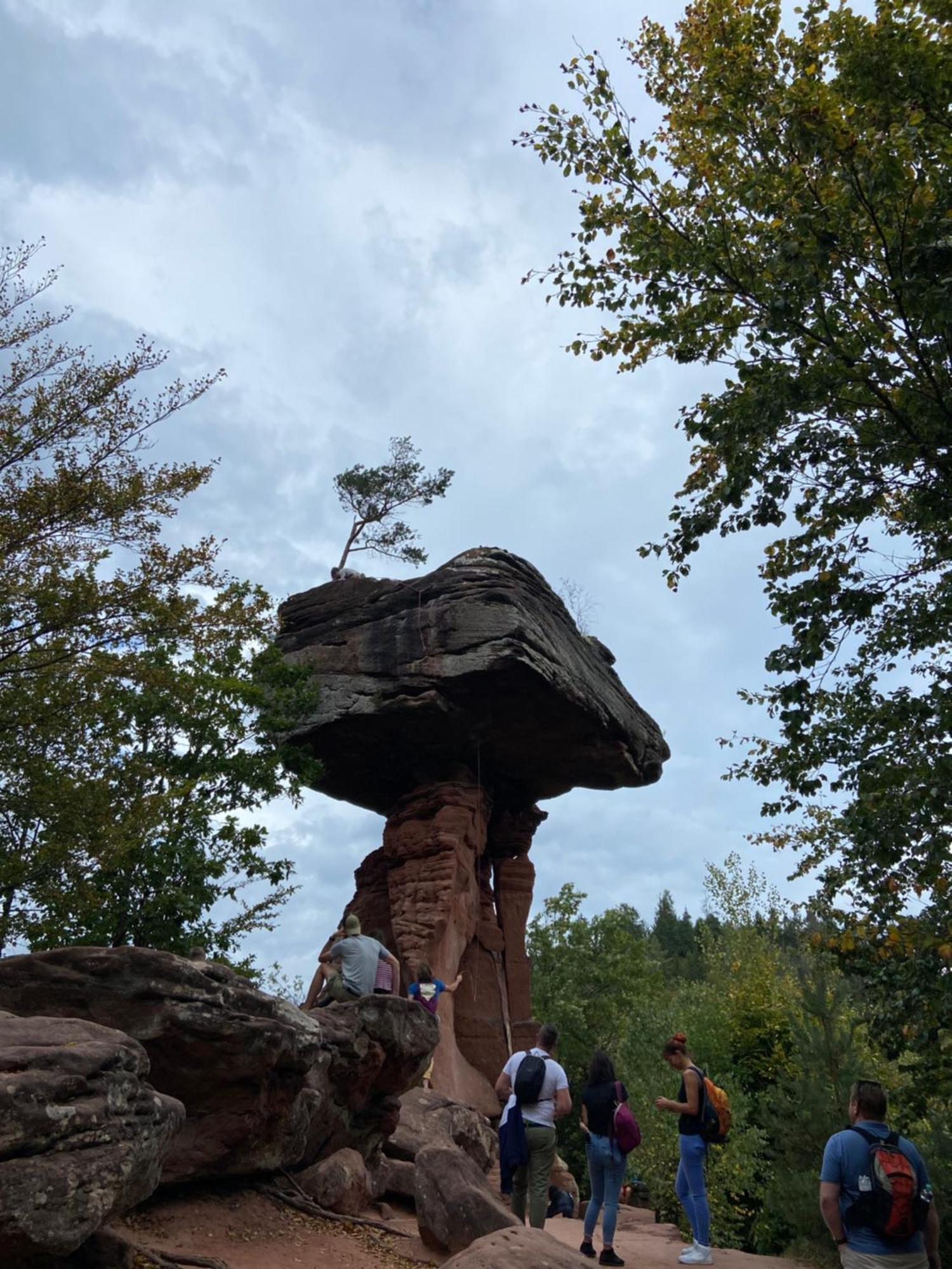 Toms Ferienhuette Annweiler am Trifels